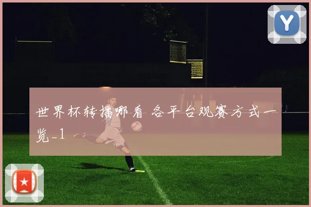 世界杯转播哪看 各平台观赛方式一览_1