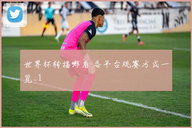 世界杯转播哪看 各平台观赛方式一览_1