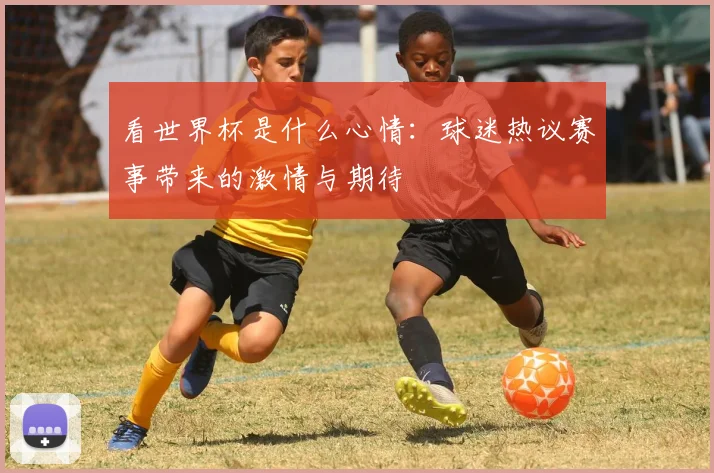 看世界杯是什么心情：球迷热议赛事带来的激情与期待